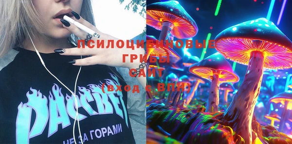 не бодяженный Няндома