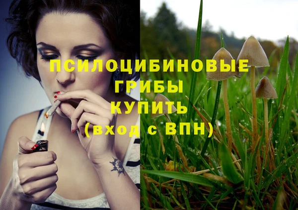 соль ск Нязепетровск