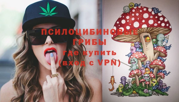 соль ск Нязепетровск
