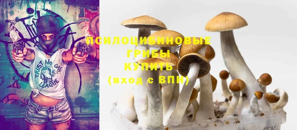 MESCALINE Новозыбков