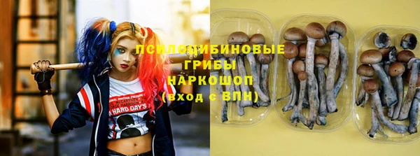 соль ск Нязепетровск