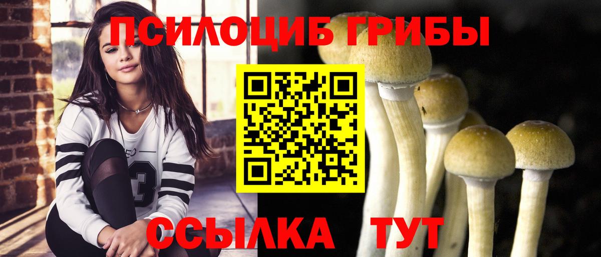 Галлюциногенные грибы прущие грибы Соликамск
